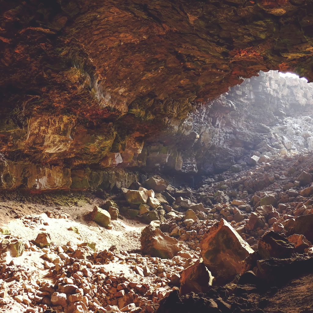 FIGARIE - Cradle of Humankind experience